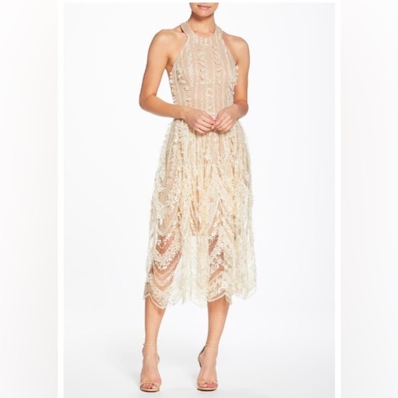 Dress The Population Valerie  Floral-Lace Midi dress - Picture 1 of 13